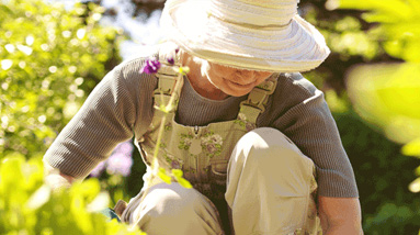 Photo of a woman gardening